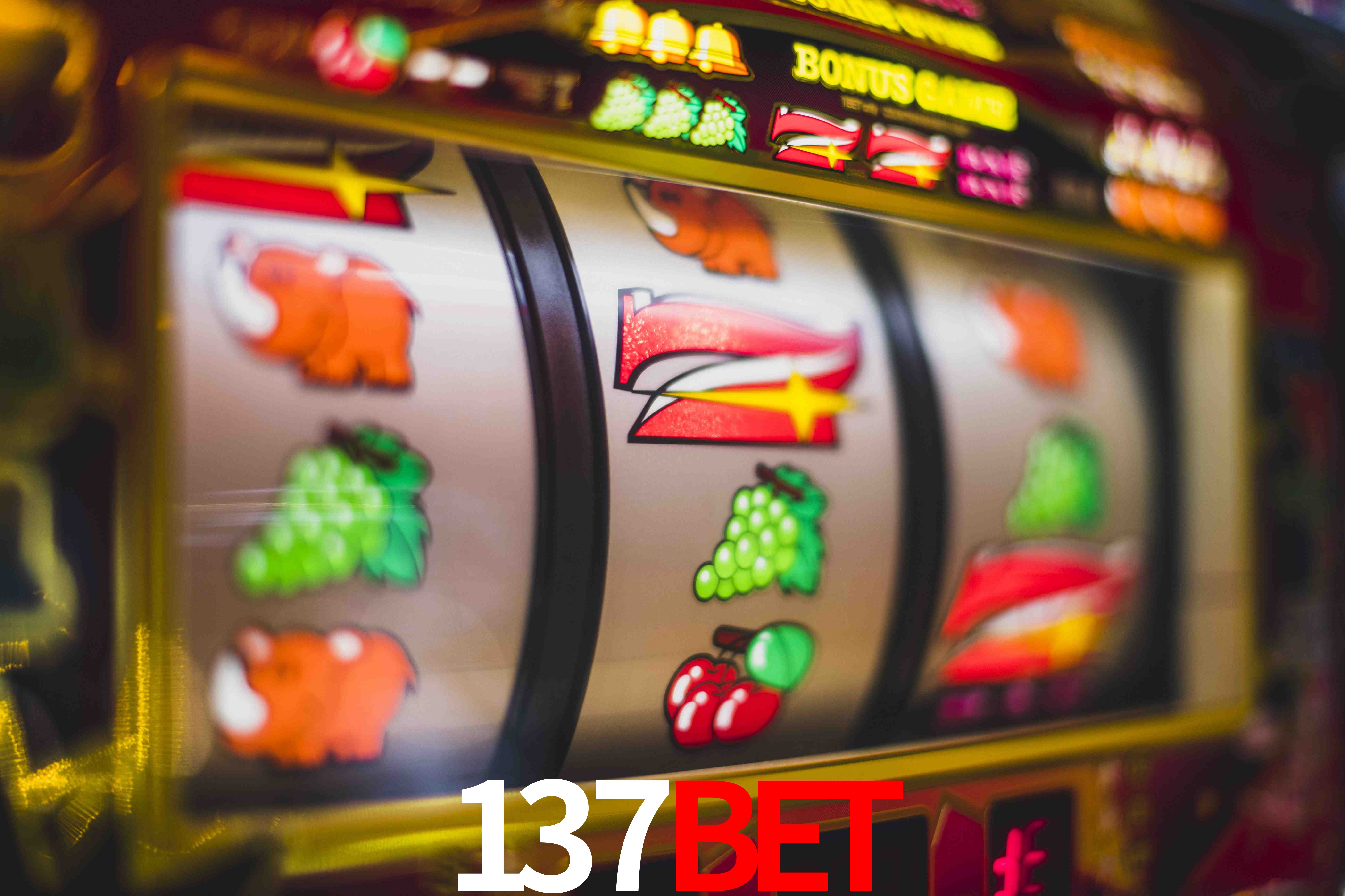 Crash Games Statistics 137bet